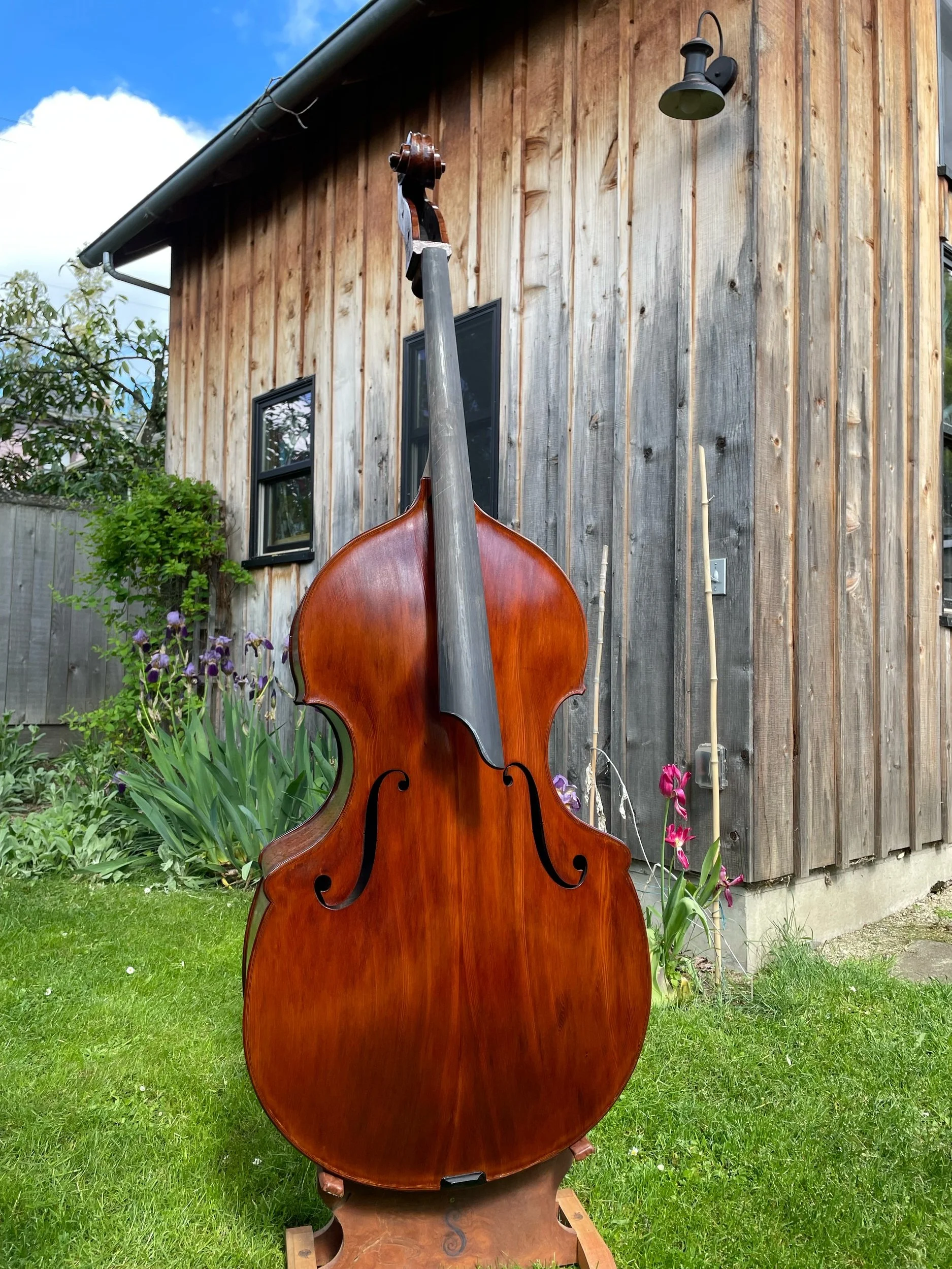 A double bass stands outdoors on a patch of green grass in front of a weathered wooden building with two black-framed windows. The double bass has a polished wooden body with a dark fingerboard and scroll, and is mounted on a small wooden stand. Ther