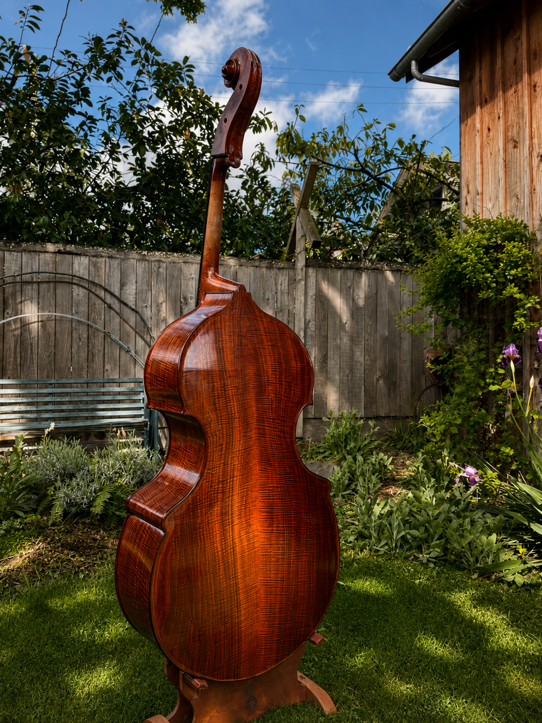 bass_back.png