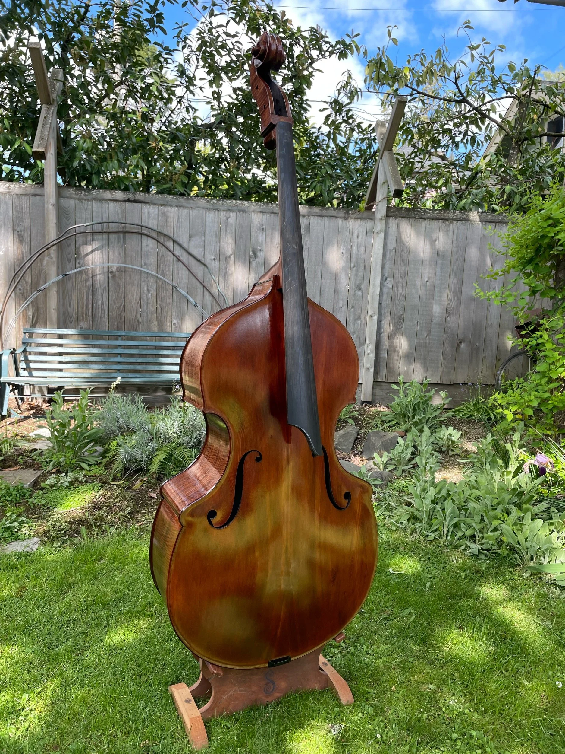 A wooden upright double bass standing on a grass lawn in a backyard with a garden, wooden fence, and trees in the background.