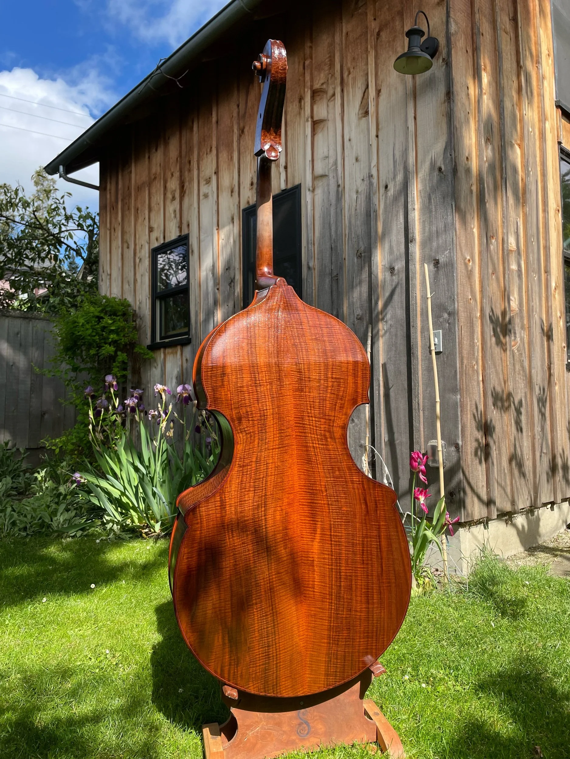 A wooden double bass standing outside on a grassy lawn near a weathered wooden building with a window and garden flowers.